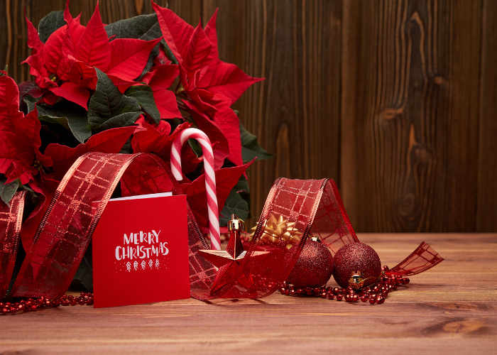 Flowers on sale before christmas