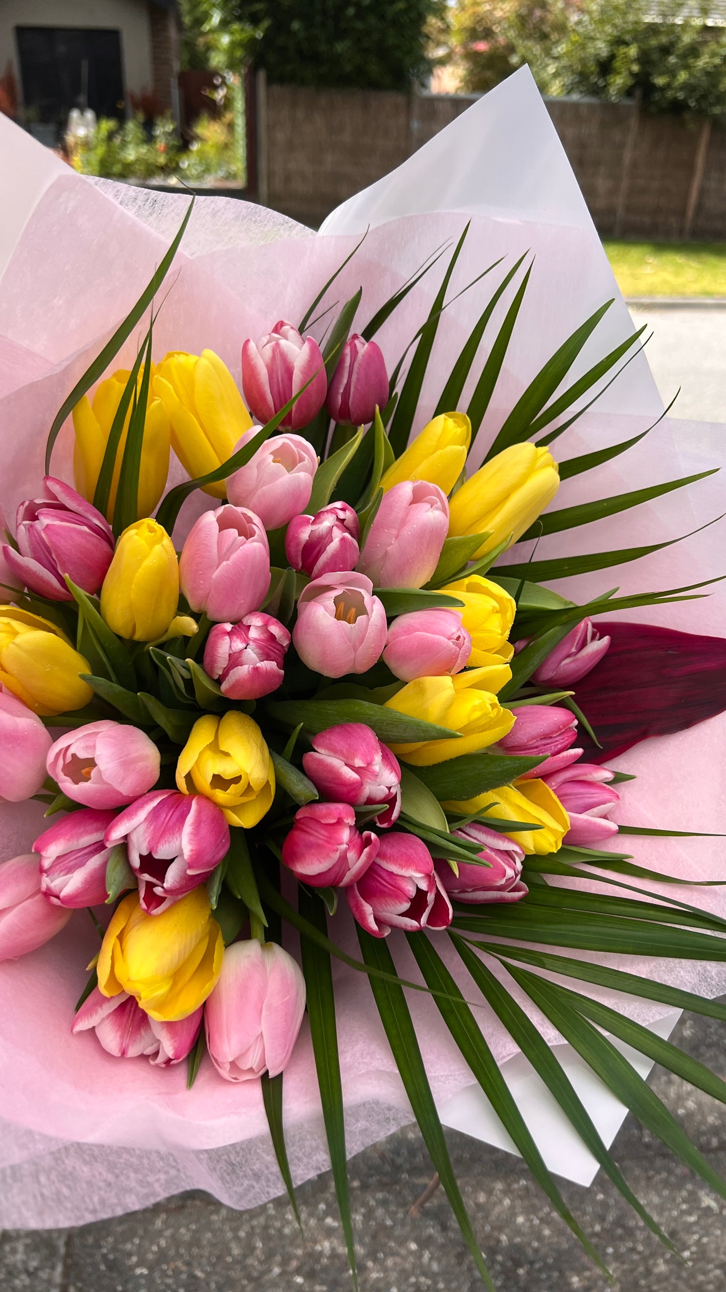 Vibrant Tulip Bouquet - 20 Fresh Tulips
