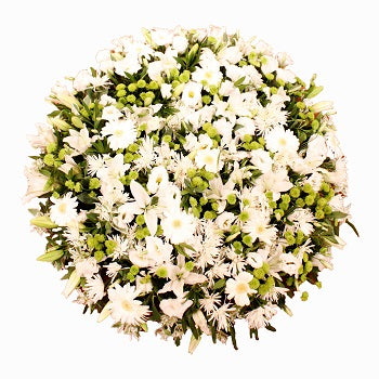 A sincere Memory -Xlarge