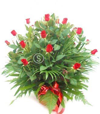 20 Medium Stem Roses in Pot