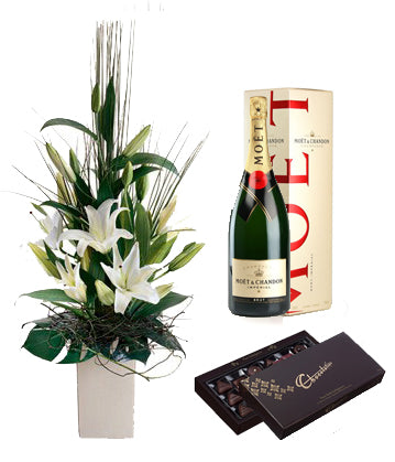 Oriental Lilies in Pot & Moet with Dark Chocolate