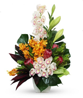 Native and Tropical Arrangement