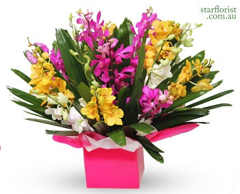 Orchids Arrangement - Small