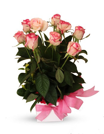 Pink Roses Arrangement