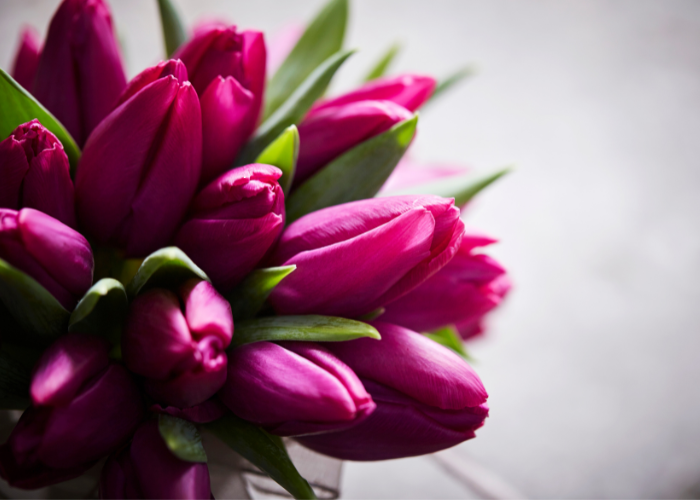 How to Choose the Right Flowers