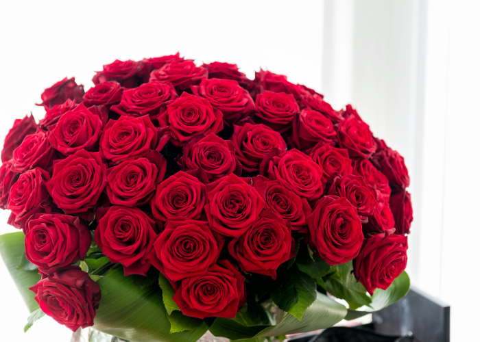 Valentine's Day Roses