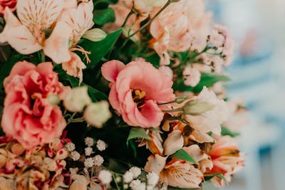 Why Flower Delivery Is the Best Last-Minute Gift for Every Occasion