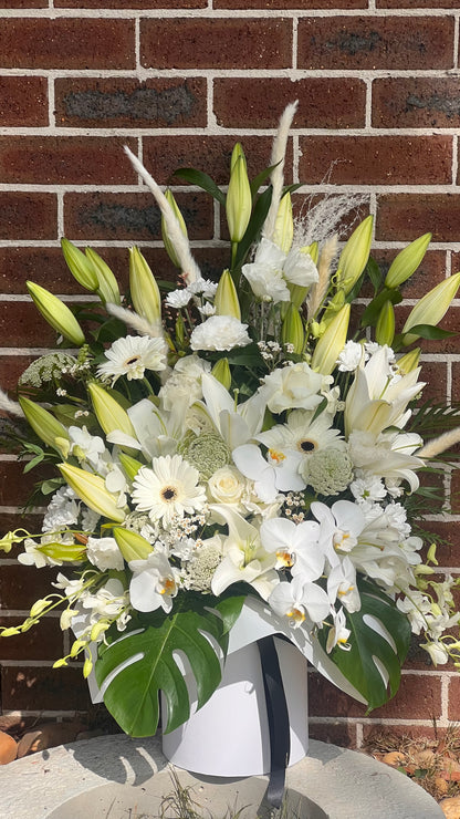 Soft White Blooms