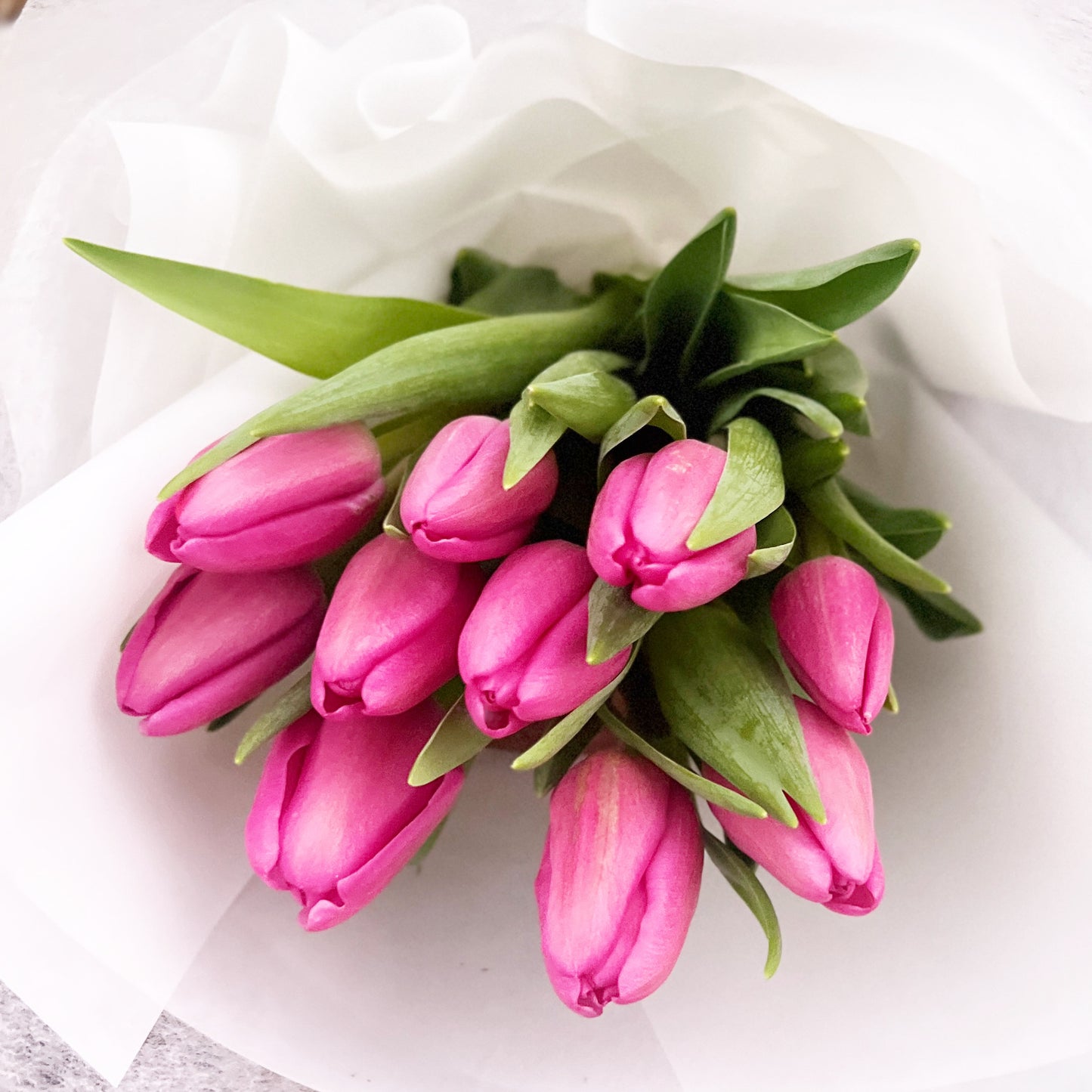 20 Tulips for Mum