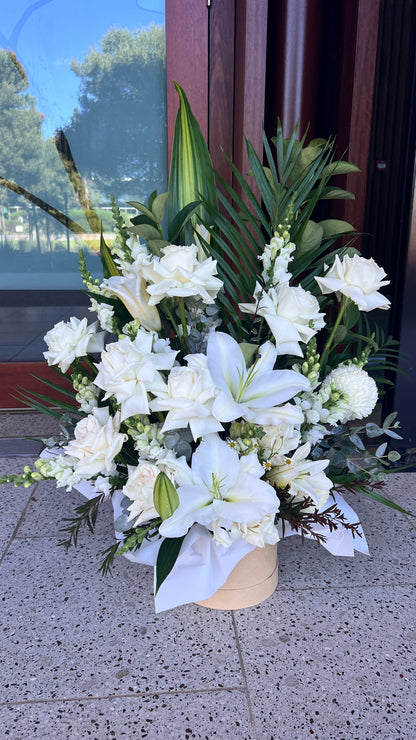 Soft White Blooms