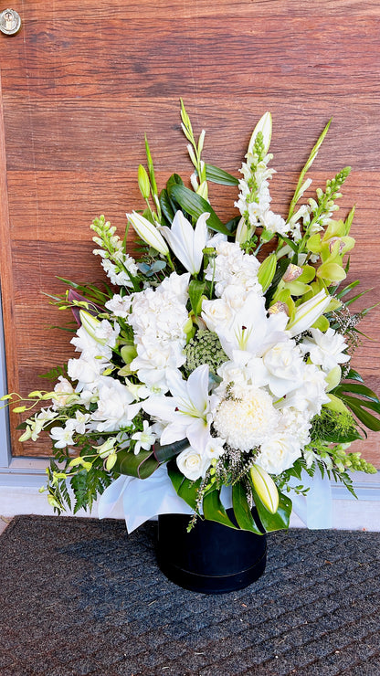 Soft White Blooms