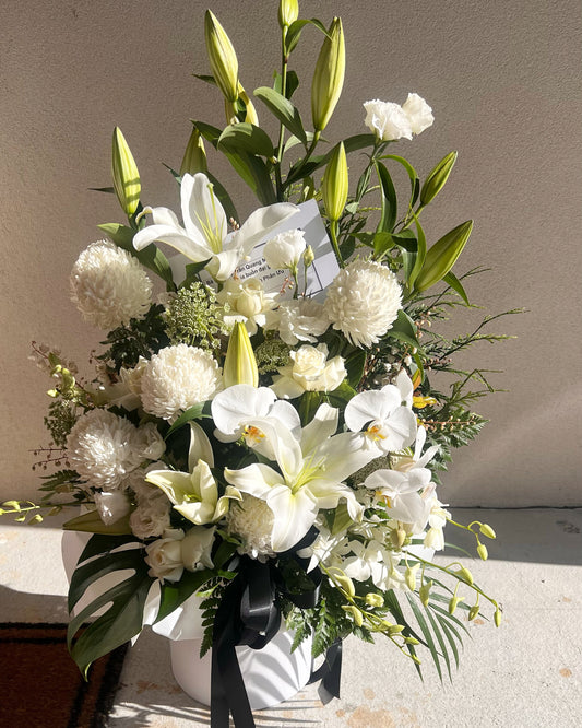 Soft White Blooms