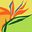 www.starflorist.com.au