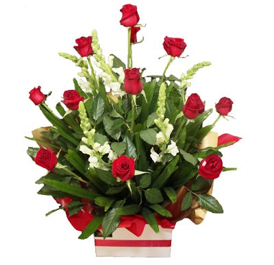 12 Long Stem Roses Arrangement -SPECIAL OFFER