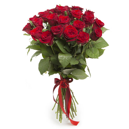 Luxury Collection - A Dozen Long Stem Red Roses