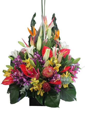Large exotic and native arrangement