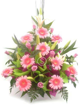 Pink and White Baby Girl Flowers