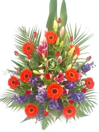 Flowers for a Newborn Boy