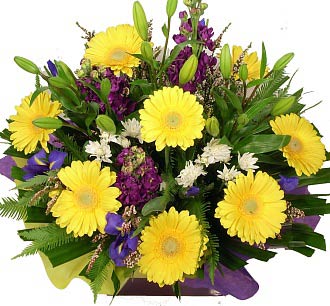 Blue and Yellow Arrangement