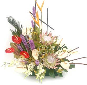 Modern Tropical Arrangement