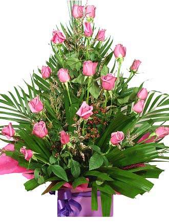 Pink Roses Bab Works Baby Girl Assorted Pink Roses