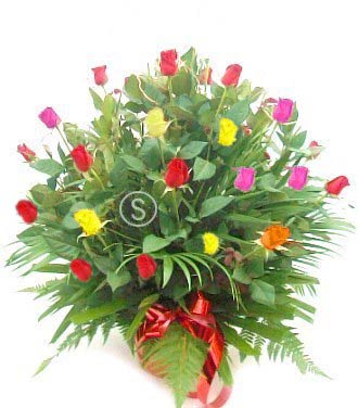 100 Mixed Coloured Roses