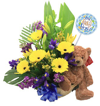 Baby Boy Flower, Bear and Balloon Basket