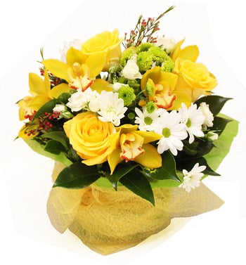 Bright Yellow Posy