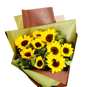 Burst of Sunshine