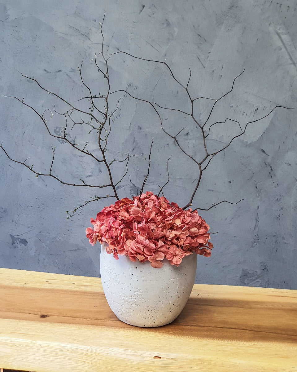 Dried Twisted Willow and Hydrangea Arrangement