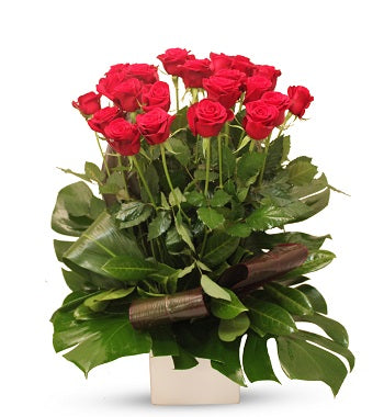 24 Elegant Red Long Roses Arrangement