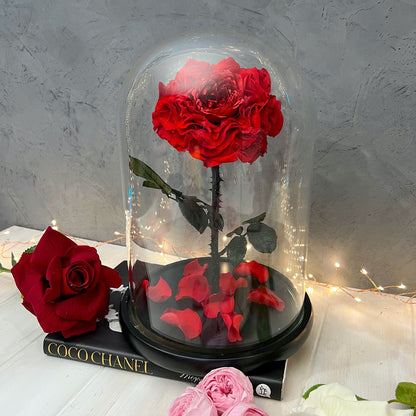 Everlasting Rose Dome with Gift Box