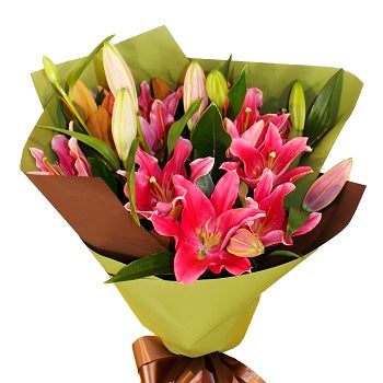 Lush Lilies Pink