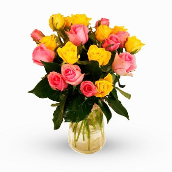 Medium Roses Rosaline - 20 Medium Mixed Roses