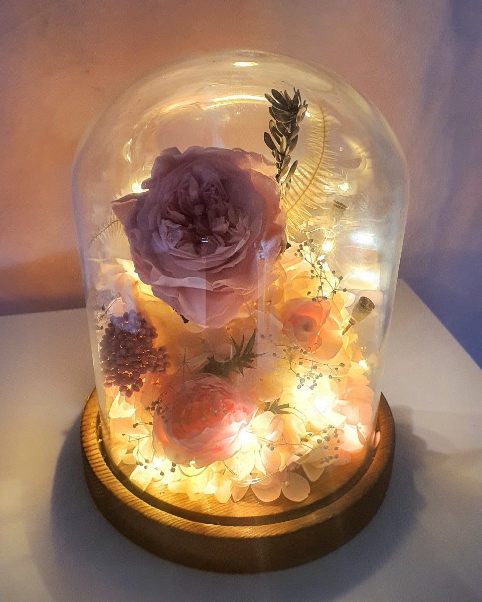 Magical Wonderland Glass Domes - Pink