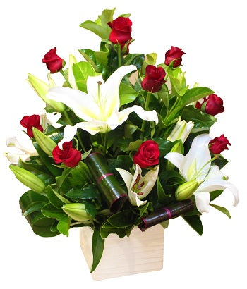12 Long Roses and Oriental Lily in Pot