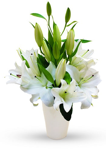 Sympathy Lilies