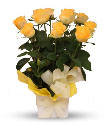 Yellow Roses Arrangement